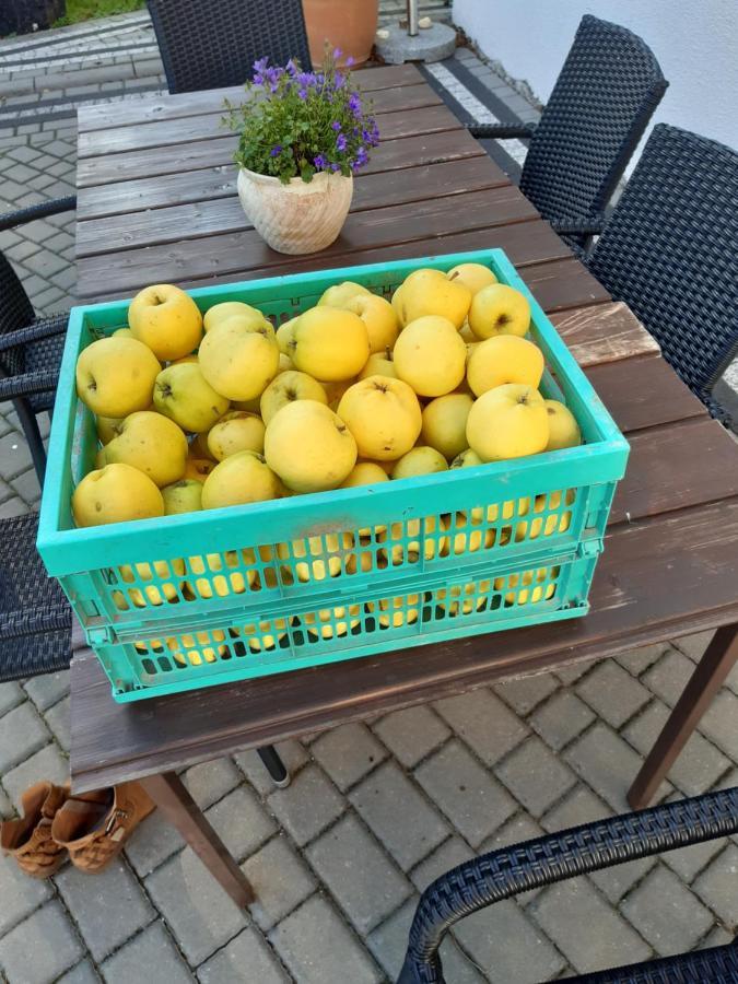 Dworek Natury Strzezenice Esterno foto